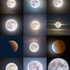moon845ar