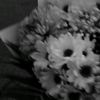 thfza_self24