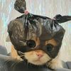 nunnyy_08