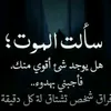 user24185319429821