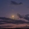 arasasel_21
