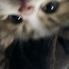 pppopppi_