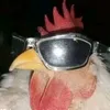 arkianzeuz
