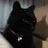 black_cat0965