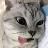 rakzzzzzz09