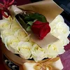 user2308135302253