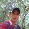 alvinalbor