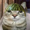 xmakaka02