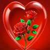 user3337965141481