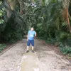 filipejoseln