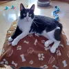 desiree64uo
