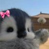 leenyasmeen6