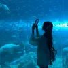 duonganh20_3