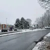 hedleycaliste