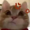 nliaa56