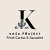 kasu_project