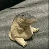 dyjsrrrhlani