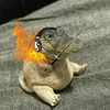 raee6987