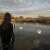 roksana_faitl
