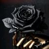 israt.jahan.ayesha7