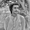 malikziaulqamer
