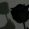 orfilame09