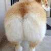 gurammetotxmete
