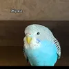 b_a_d_b_o_y21