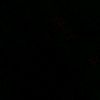 nill._55