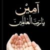 imranmuhammadi481