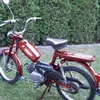 adamoos15