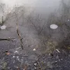colin_2000