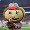 ohiostatebigfan