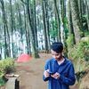alamviqi1