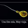mikenava82