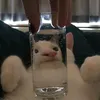 to_ja_forterrrr_773