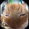 sleepyrory_