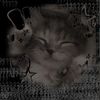 itzaid3n_x