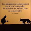 souleyebarry955