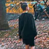 max_aus.547