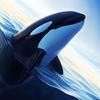 save_the_orcas