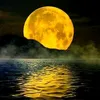 www.tiktok.comtramonto