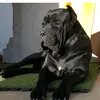 gatekeepercc