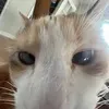 cloudkid_3
