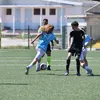 poddighe77