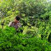 yubraj_edit