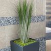 p.otted_plant