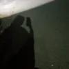 dil_dil