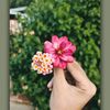 farihaislam218
