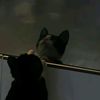 inaya_nouff